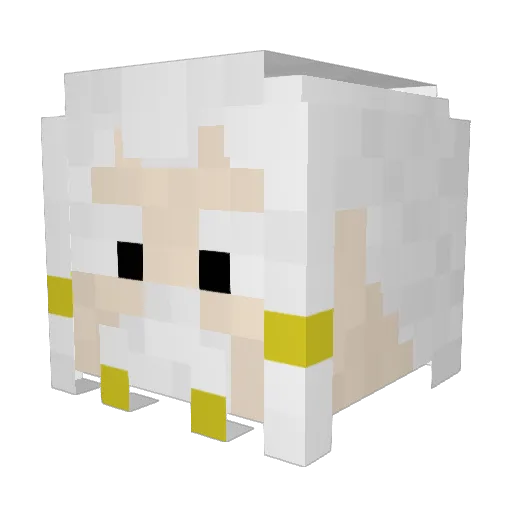 WarnerWa07 Minecraft avatar head, 3D render