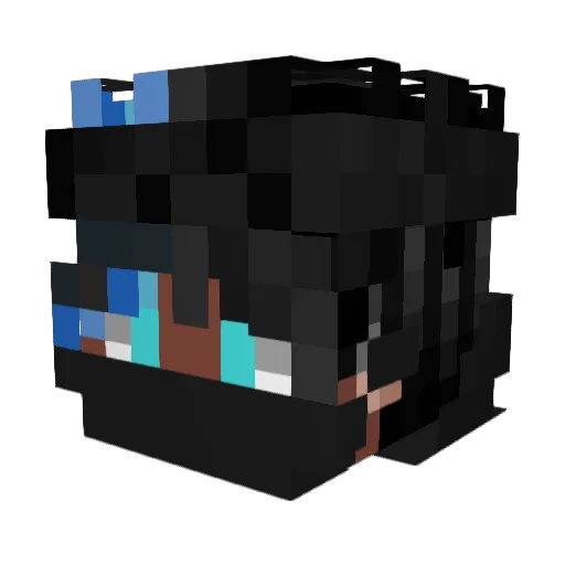 Warning6546 Minecraft avatar head, 3D render