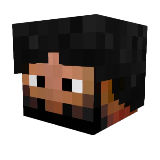 Warning_ Minecraft avatar head, 3D render