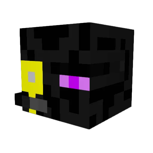 Warnoob11 Minecraft avatar head, 3D render