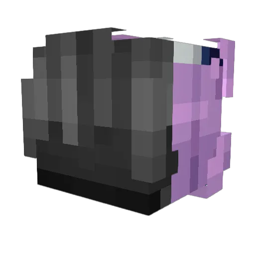 Warnuss Minecraft avatar head, 3D render
