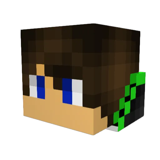 WarpFlames Minecraft avatar head, 3D render