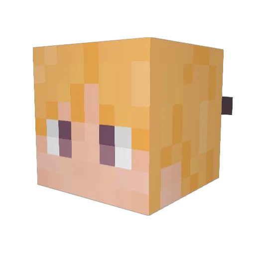Warperi Minecraft avatar head, 3D render