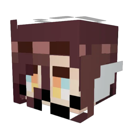 Warpstars Minecraft avatar head, 3D render