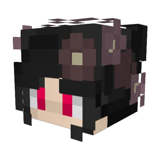Warr1 Minecraft avatar head, 3D render