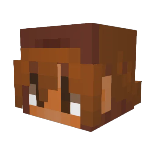 WarrChyld Minecraft avatar head, 3D render
