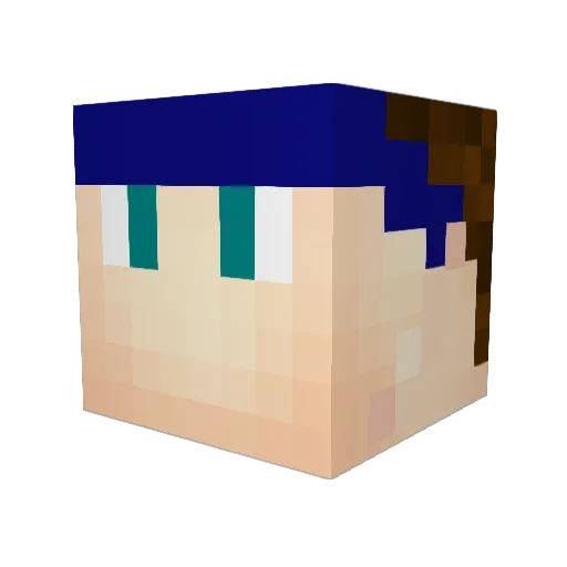 WarrDogg33 Minecraft avatar head, 3D render
