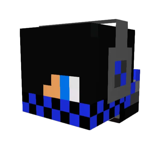 Warrboyy00 Minecraft avatar head, 3D render