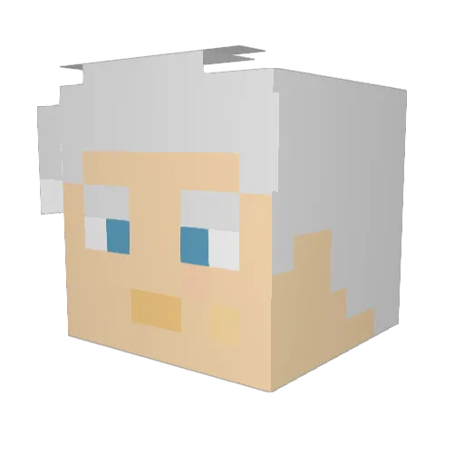 Warre8513 Minecraft avatar head, 3D render
