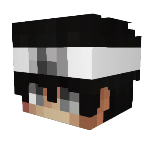 Warre Minecraft avatar head, 3D render