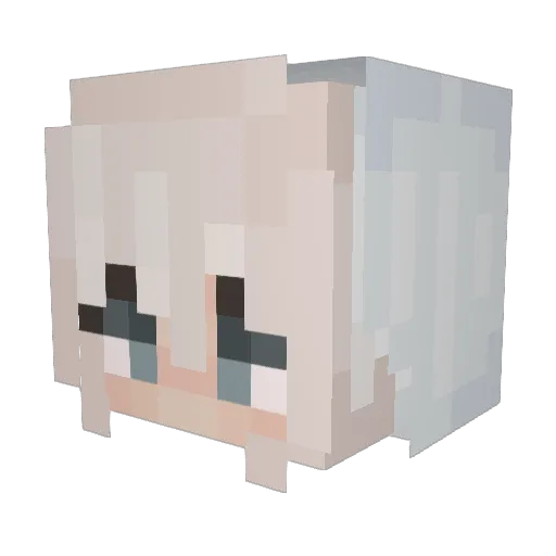 Warren Minecraft avatar head, 3D render