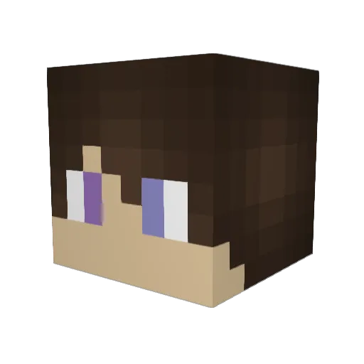 WarrenTx Minecraft avatar head, 3D render