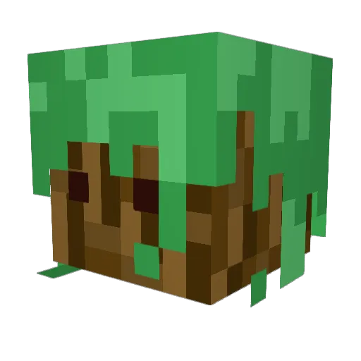 WarriEmre Minecraft avatar head, 3D render
