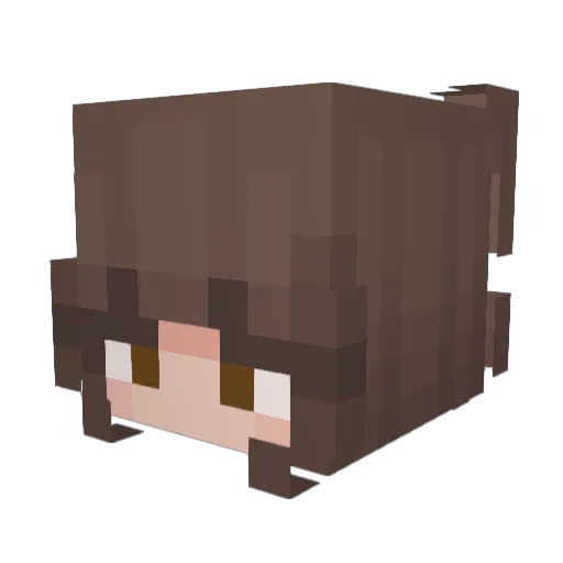 Warrior13708 Minecraft avatar head, 3D render
