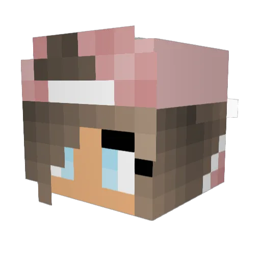Warrior2026 Minecraft avatar head, 3D render