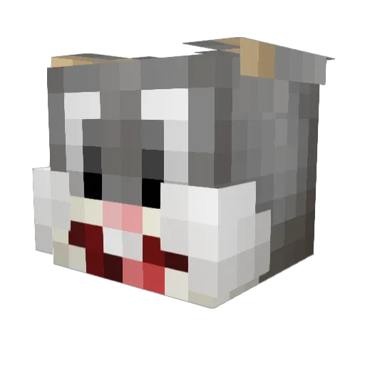 Warrior563902 Minecraft avatar head, 3D render