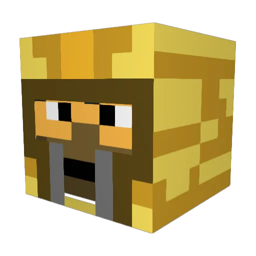 Warrior9627 Minecraft avatar head, 3D render