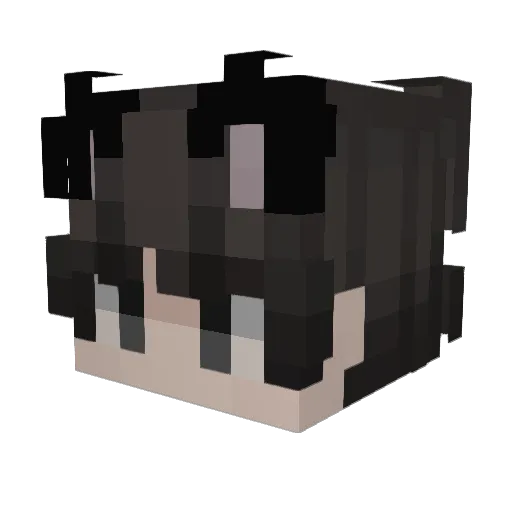 WarriorApa Minecraft avatar head, 3D render