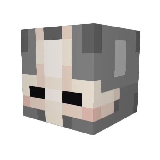 WarriorCZ99 Minecraft avatar head, 3D render