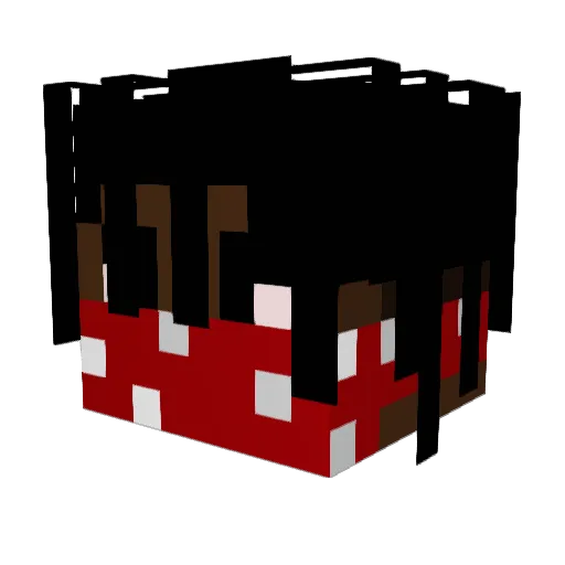 WarriorFaRidok Minecraft avatar head, 3D render