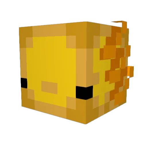 WarriorTW Minecraft avatar head, 3D render