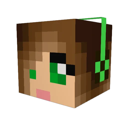 WarriorWish1 Minecraft avatar head, 3D render
