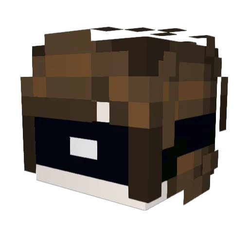 Warriorr55 Minecraft avatar head, 3D render