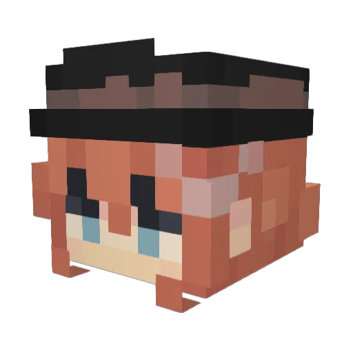 Warriorschwein Minecraft avatar head, 3D render
