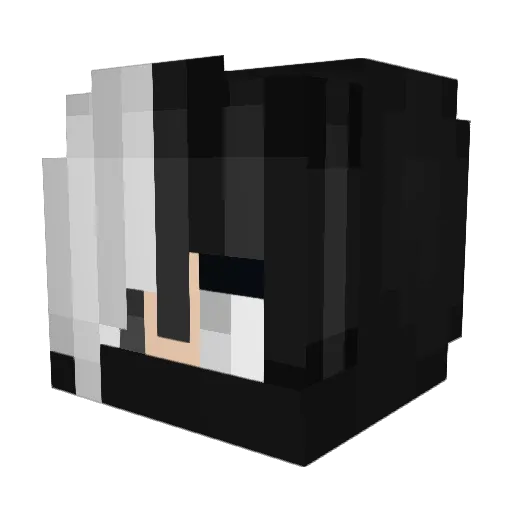 Warrkoz19 Minecraft avatar head, 3D render