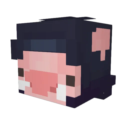Warrpiig69 Minecraft avatar head, 3D render
