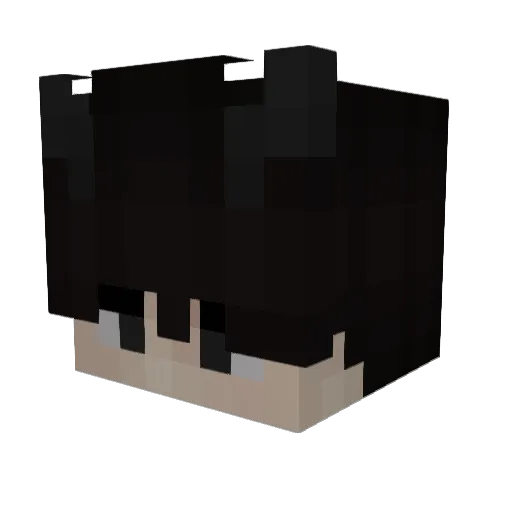 Warryfox Minecraft avatar head, 3D render