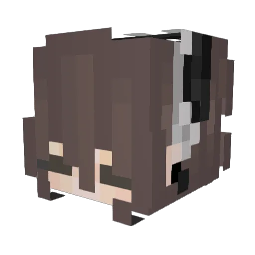 Warsamia Minecraft avatar head, 3D render