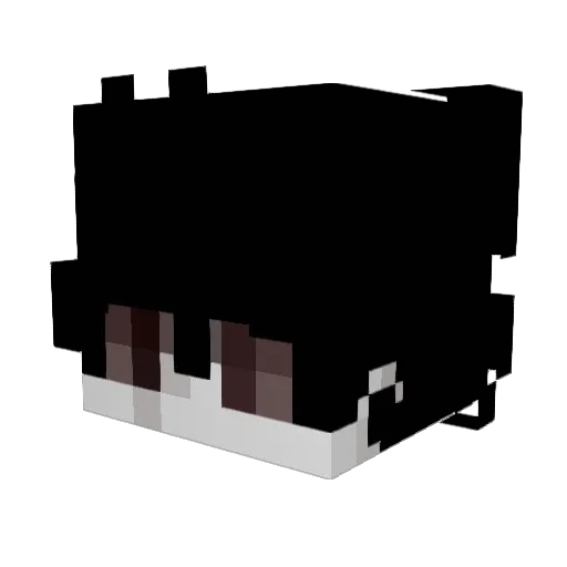 Warsanders Minecraft avatar head, 3D render