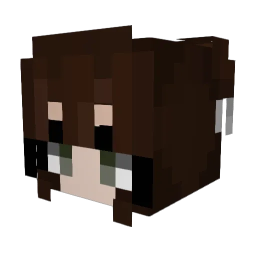 Warsaw713 Minecraft avatar head, 3D render