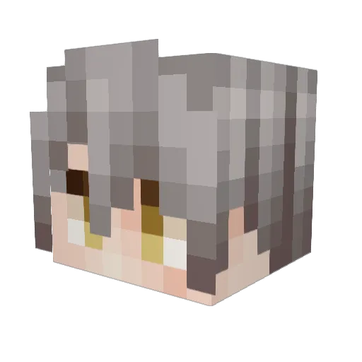 Warscar3255 Minecraft avatar head, 3D render