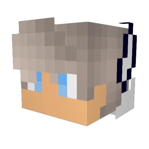 Warstarter8644 Minecraft avatar head, 3D render