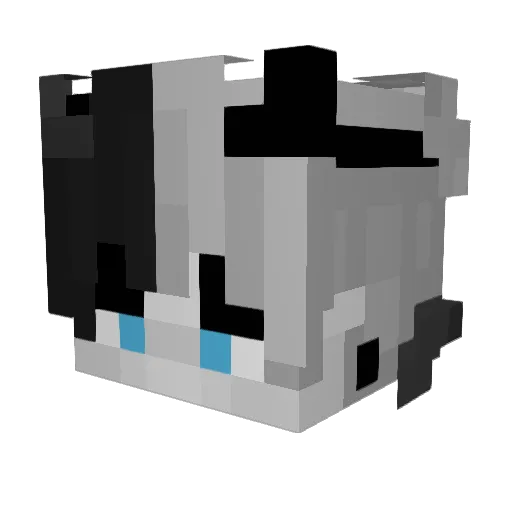 Warsz_ Minecraft avatar head, 3D render
