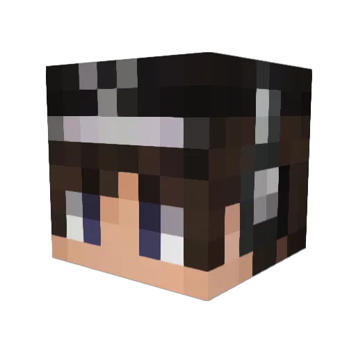 Warthog09 Minecraft avatar head, 3D render