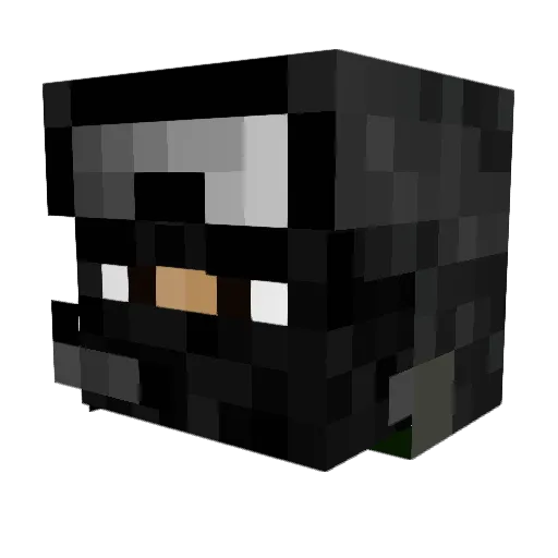 Warthog5567 Minecraft avatar head, 3D render