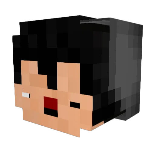 Wartism Minecraft avatar head, 3D render