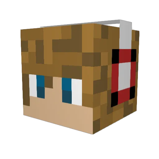 Wartrash1111 Minecraft avatar head, 3D render