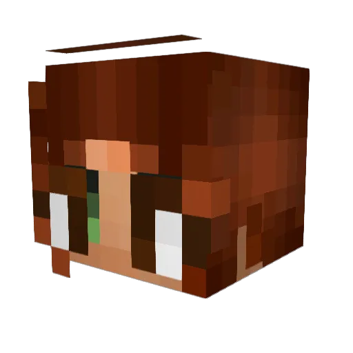 WartyPumpkin Minecraft avatar head, 3D render