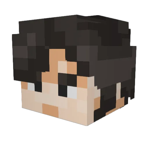 WaruDo3320 Minecraft avatar head, 3D render
