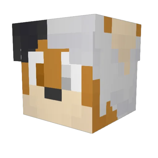 WarudoJack Minecraft avatar head, 3D render