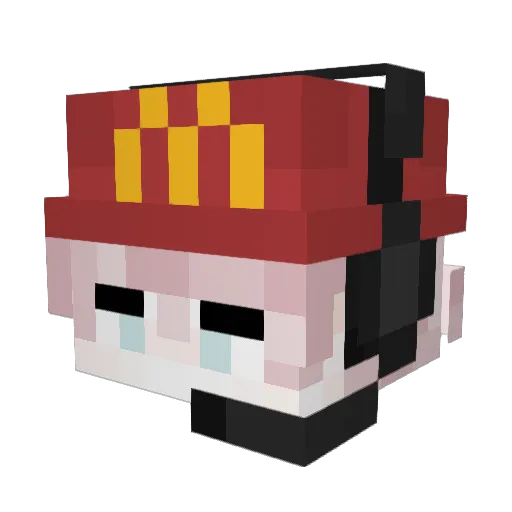 WasBringtName Minecraft avatar head, 3D render
