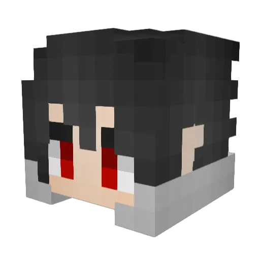 WasEinLuckIchHab Minecraft avatar head, 3D render