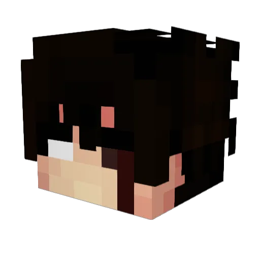 WasPoppin Minecraft avatar head, 3D render