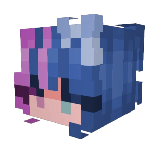 WasabiJelly Minecraft avatar head, 3D render