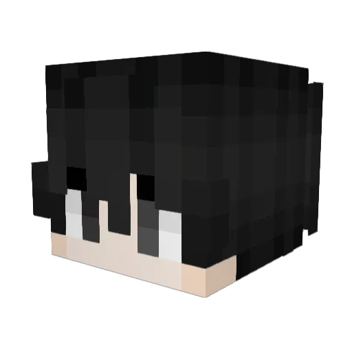 Wasabiwarrior32 Minecraft avatar head, 3D render