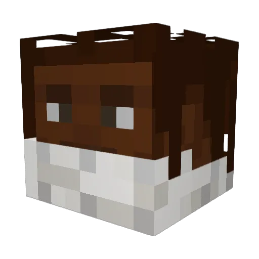 Wasakaka Minecraft avatar head, 3D render